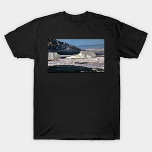 The Antarctic Coast T-Shirt